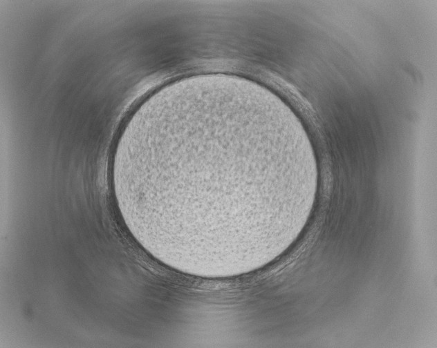 X0000115051174200912071124