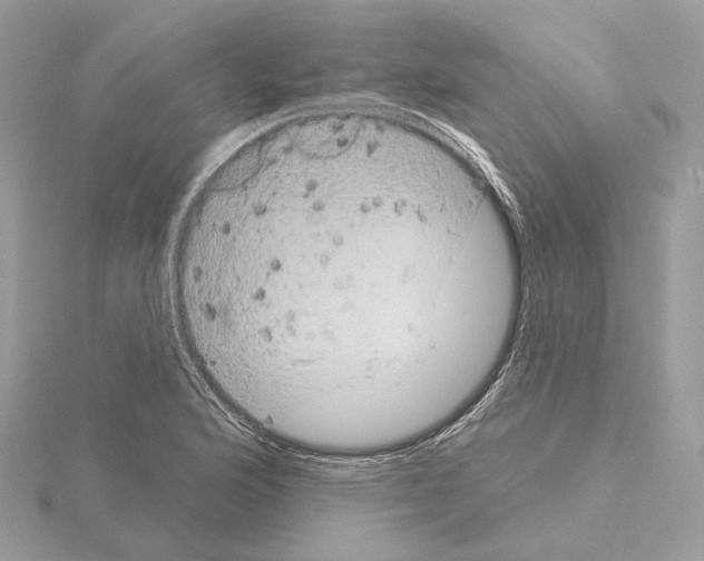 X0000115051176200912071124