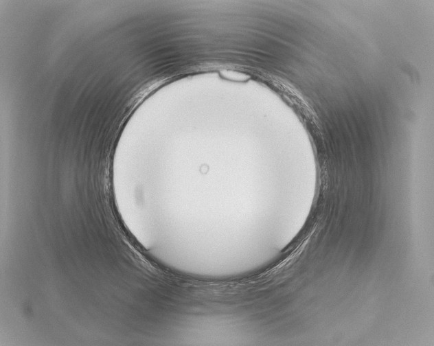 X0000115051177200912071124