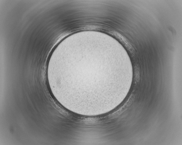 X0000115051178200912071124