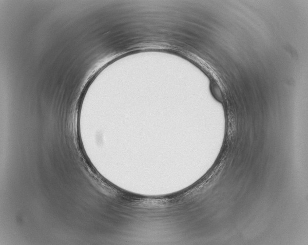 X0000115051179200912071124