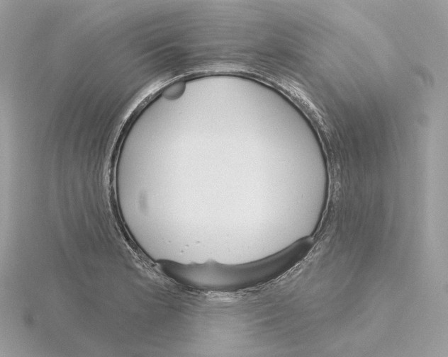 X0000115051181200912071124