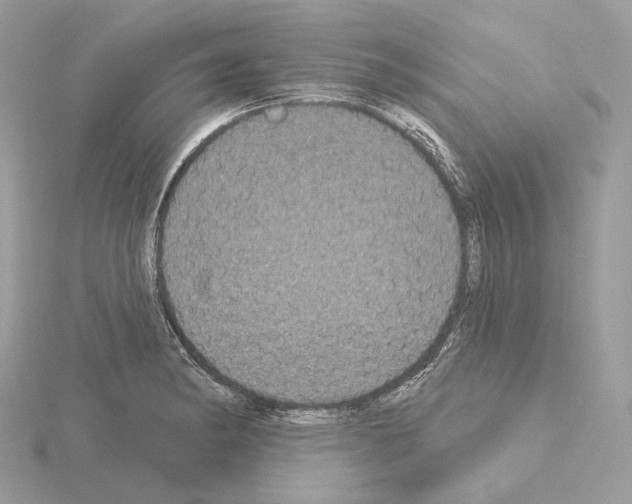 X0000115051182200912071124