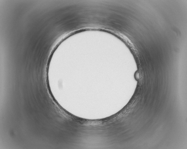 X0000115051183200912071124