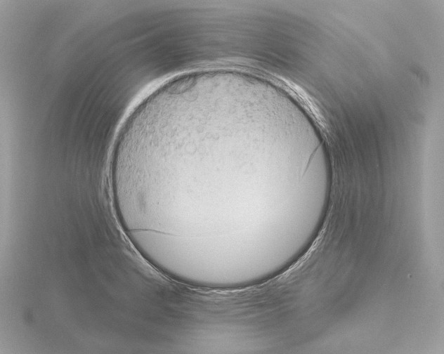 X0000115051184200912071124