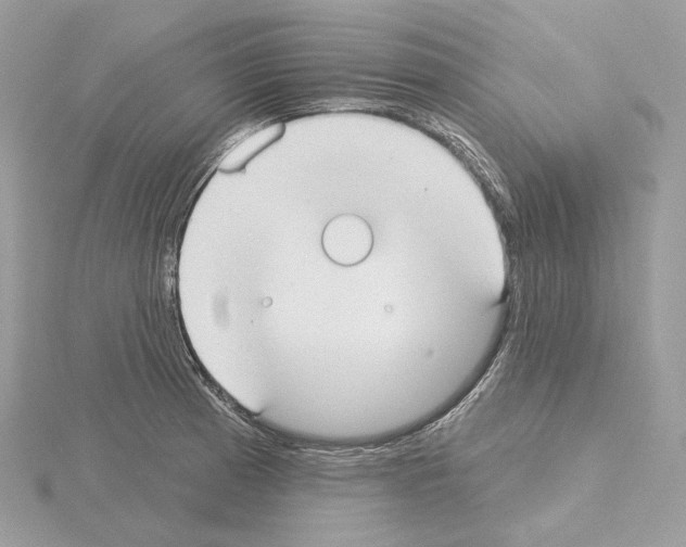 X0000115051185200912071124