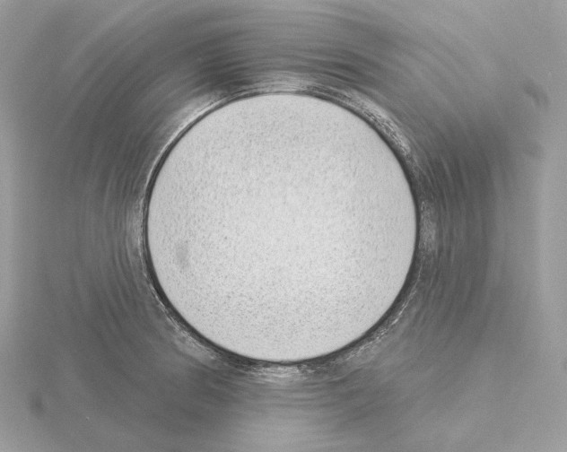 X0000115051186200912071124