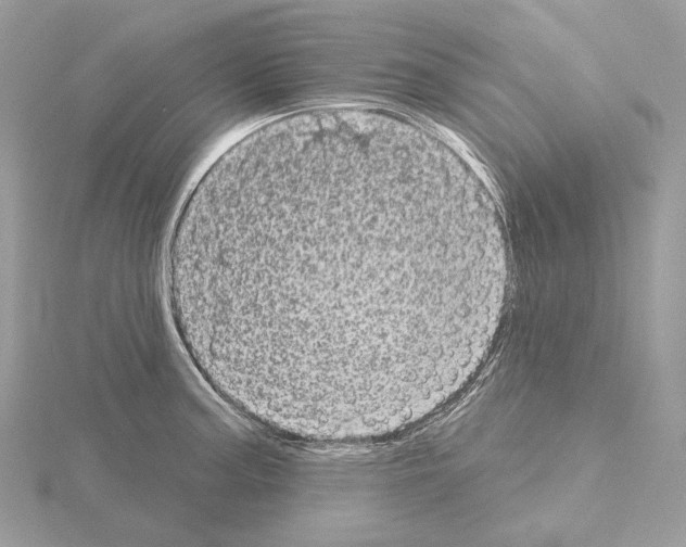 X0000115051187200912071124