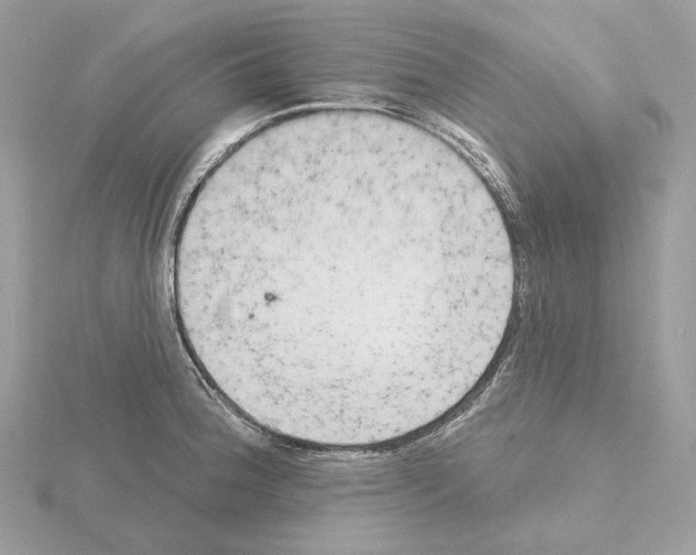 X0000115051188200912071124