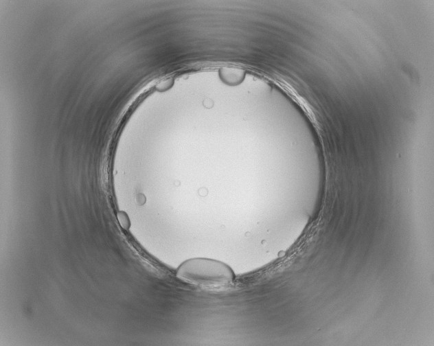 X0000115051189200912071124