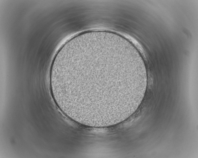 X0000115051191200912071124