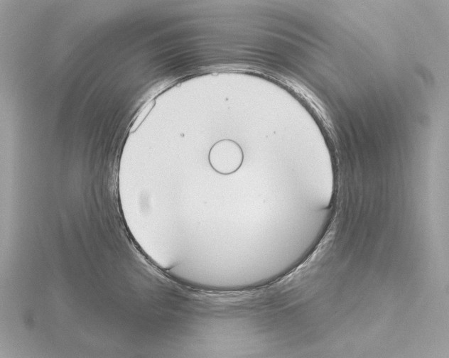 X0000115051193200912071124