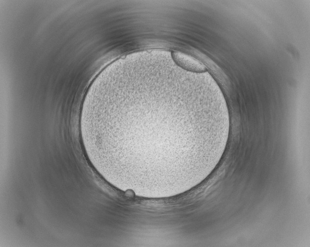 X0000115051194200912071124