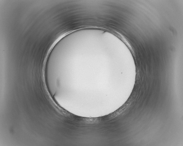 X0000115051195200912071124