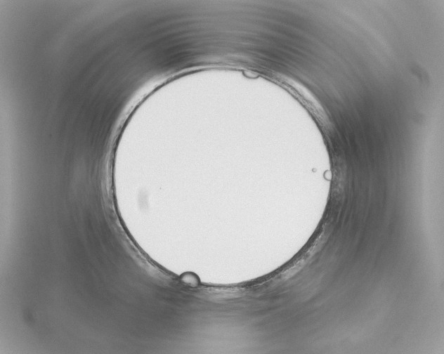 X0000115051196200912071124