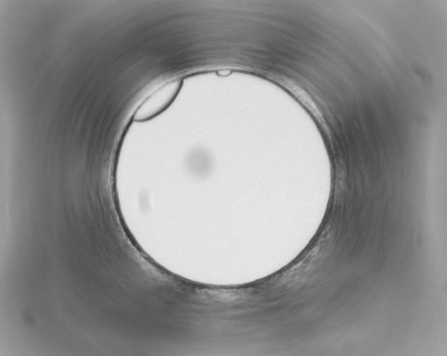 X0000115051197200912071123