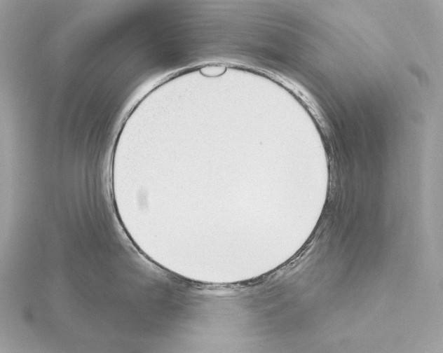 X0000115051199200912071123