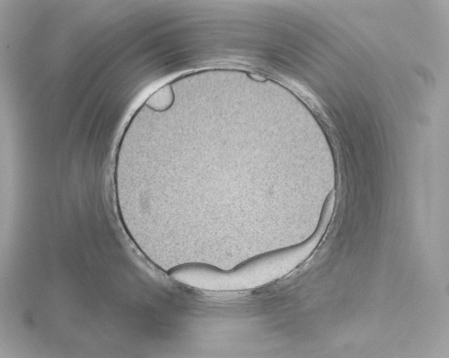 X0000115051200200912071123