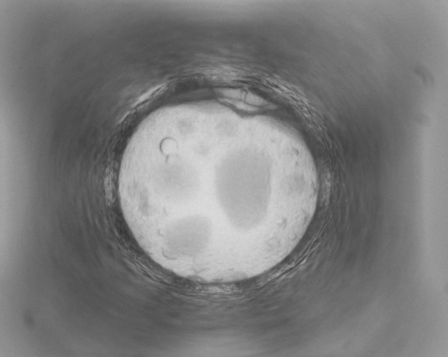 X0000115051205200912071123