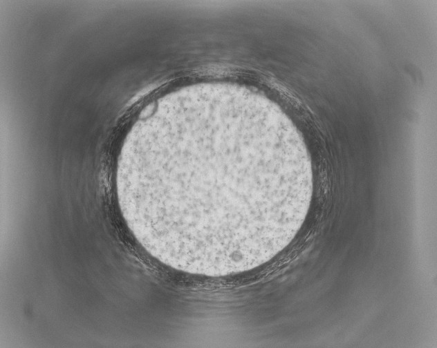 X0000115051206200912071123