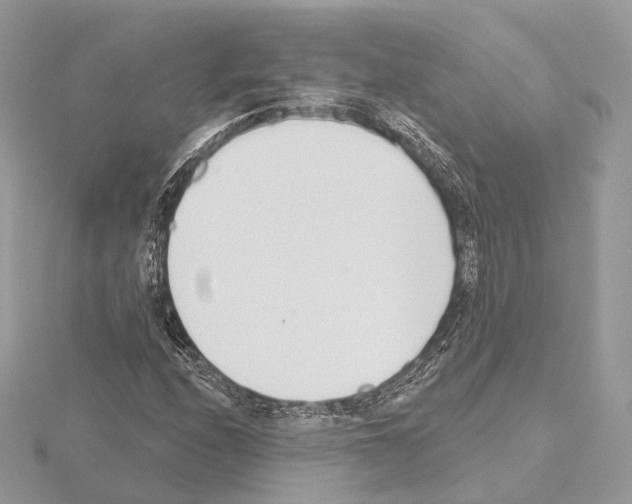 X0000115051208200912071123