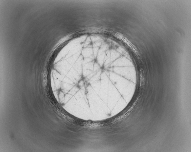 X0000115051213200912071123