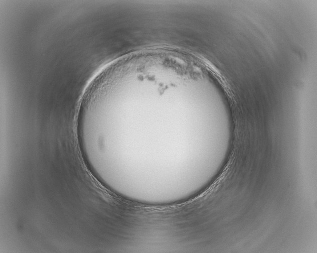 X0000115051216200912071123