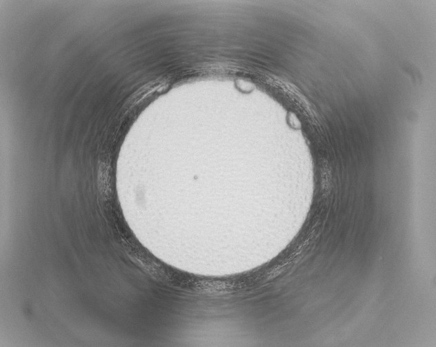 X0000115051217200912071123