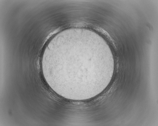 X0000115051218200912071123