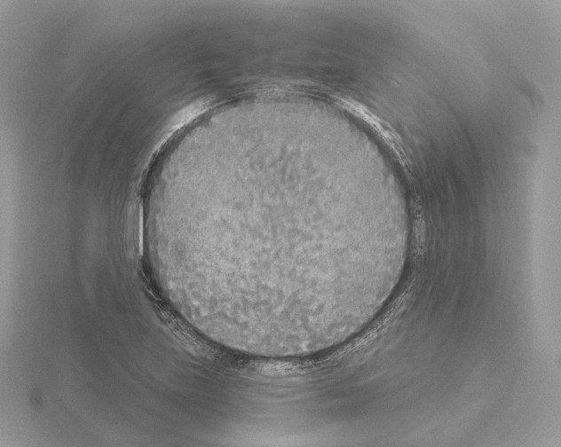 X0000115051219200912071123