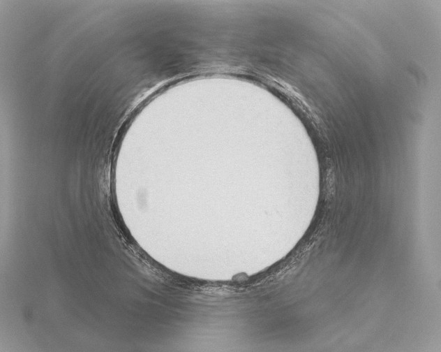 X0000115051220200912071123