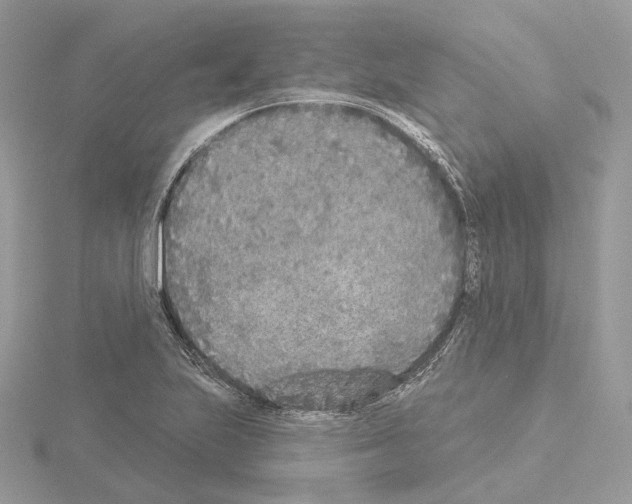 X0000115051223200912071123