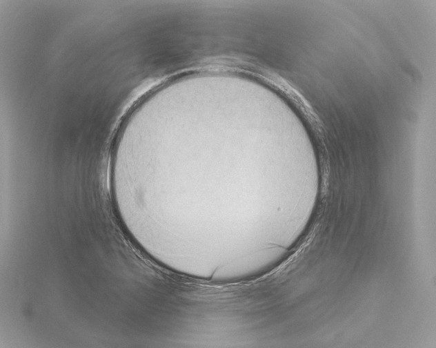 X0000115051224200912071123