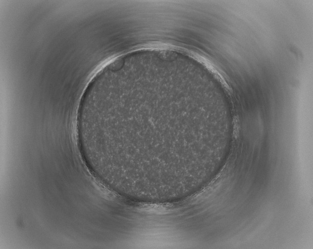 X0000115051229200912071123