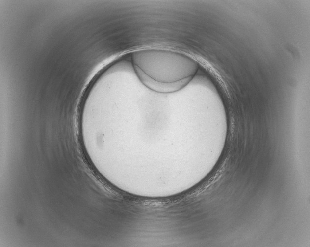 X0000115051230200912071123