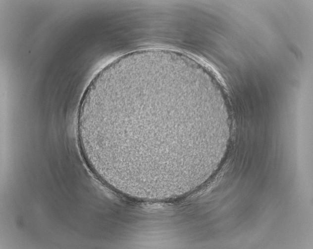 X0000115051231200912071123