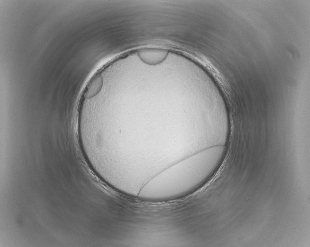 X0000115051232200912071123