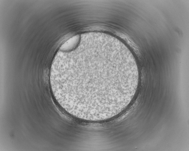 X0000115051233200912071123