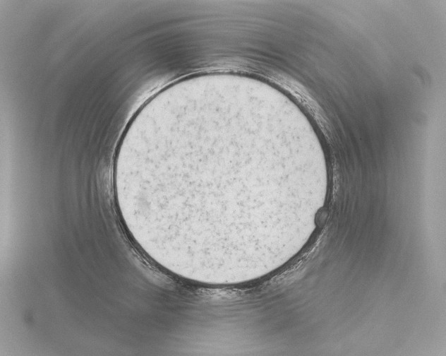 X0000115051234200912071123