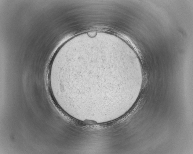 X0000115051235200912071123