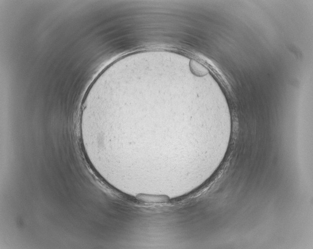 X0000115051236200912071123