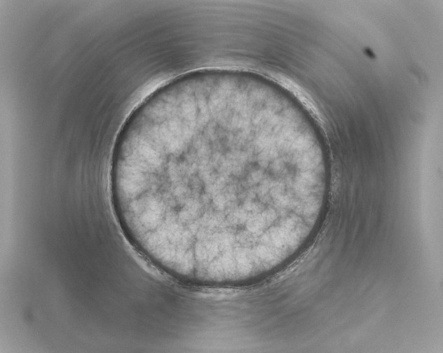 X0000115051237200912071123