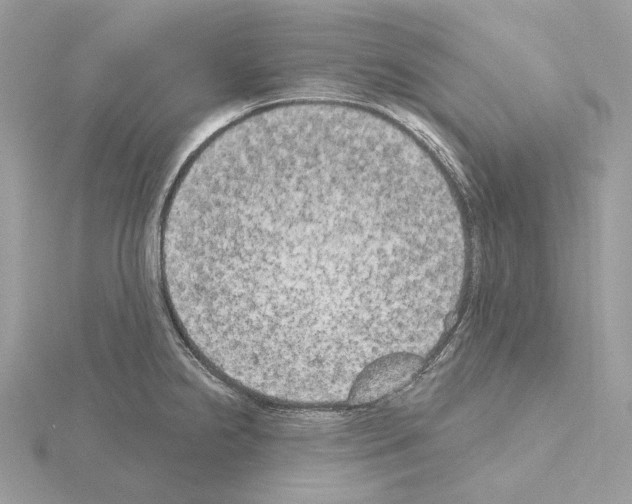 X0000115051238200912071123