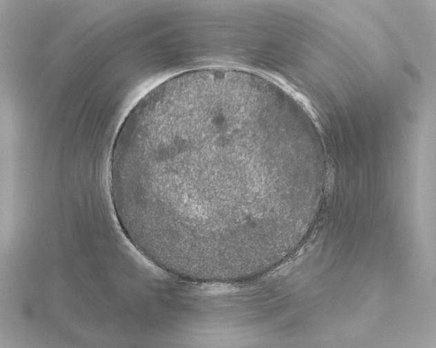 X0000115051239200912071123