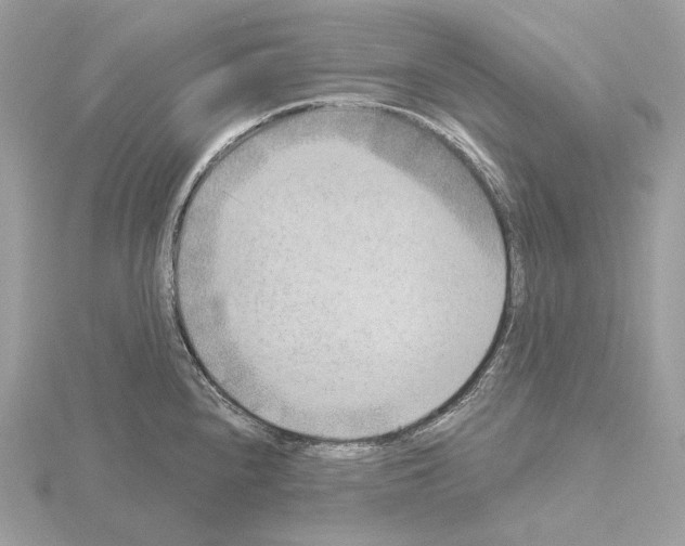 X0000115051240200912071123