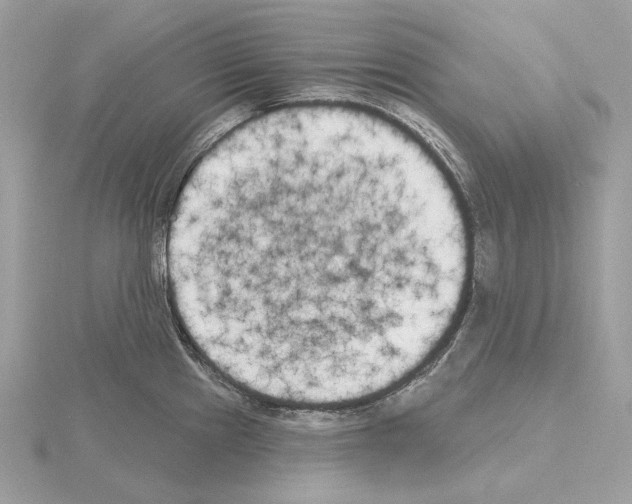 X0000115051241200912071123