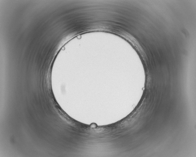 X0000115051242200912071123