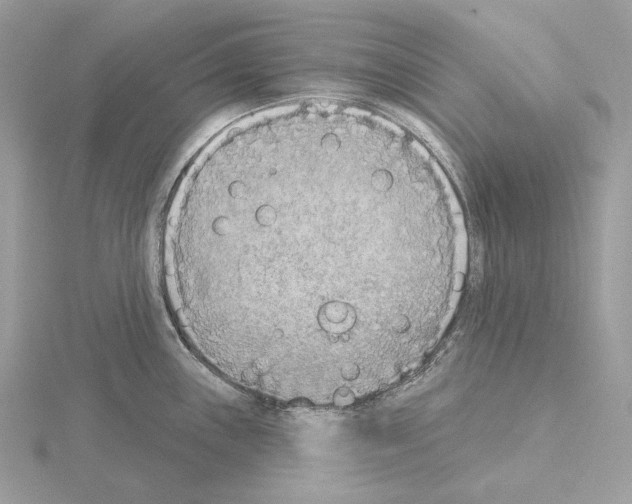 X0000115051243200912071123