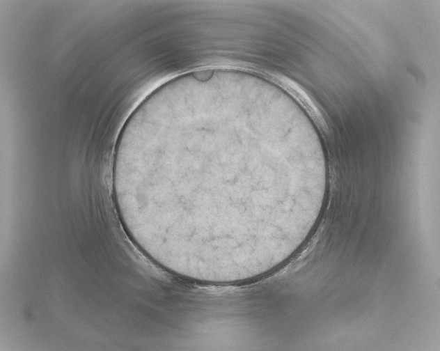 X0000115051244200912071123