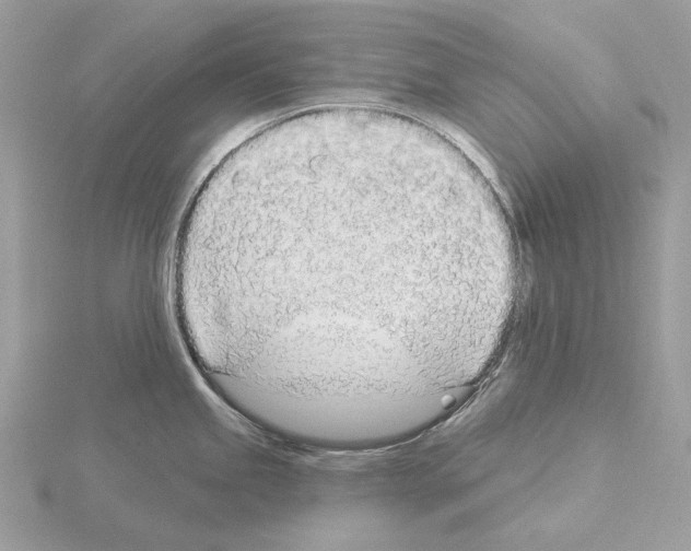 X0000115051245200912071123